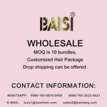 BAISI 4*4 Closure Wig 250% Density Wig For Black Women - BAISI HAIR