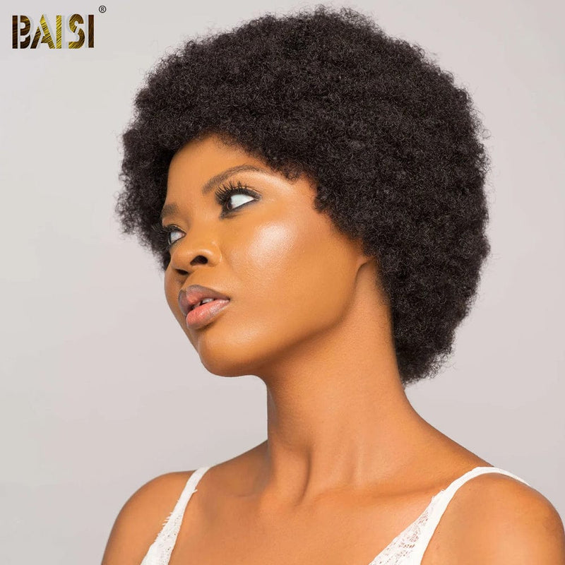 hairbs Pixie Cut Wig BAISI Full Lace Afro Curl Wig