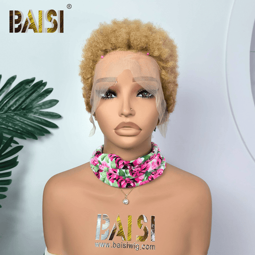 Pixie Cut Wig Pixie Cut Wig BAISI Honey Blonde Afro Curly Short Lace Wig