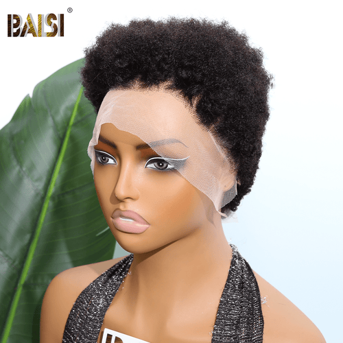 Pixie Cut Wig Pixie Cut Wig BAISI Perfect Short Afro Curly Lace Wig For Black Women