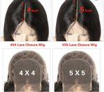 BAISI HAIR Closure Wig BAISI Long length 4x4 5x5 Closure Lace Human Hair Wig