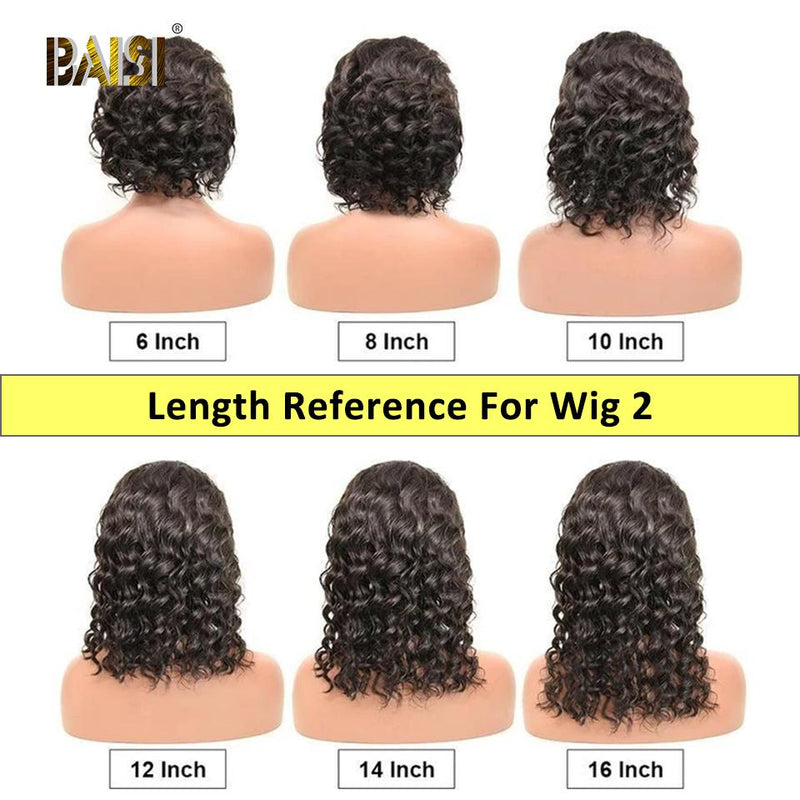 BAISI Flash Deal 2 Wigs Combo $119 for 3 Wigs - BAISI HAIR