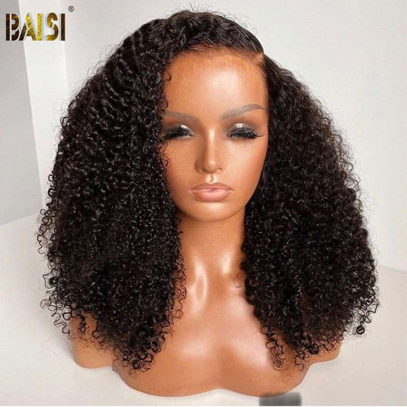 hairbs $100 wig BAISI Kinky Curly Full Density Wig