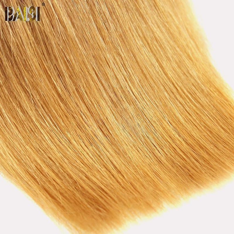 BAISI 10A Ombre Straight Hair 1b/4#/27# - BAISI HAIR