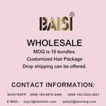 BAISI 1B/Ginger Orange Wig Lace Wig - BAISI HAIR